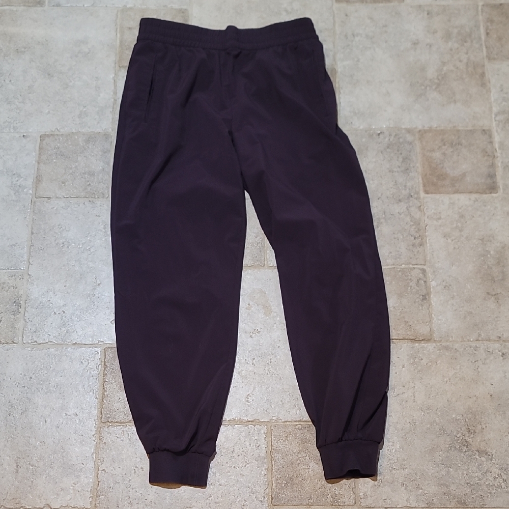 Banana Republic Dark Purple Joggers